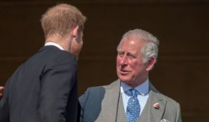 Prince Harry et Charles III : le temps est au pardon