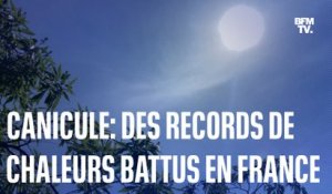 Canicule: des records de chaleur battus en France