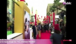 Exclu Vidéo : Avant première de Kung Fu Panda 3 : Avec Angelina Jolie, Kate Hudson, Lucy Liu ...