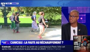 Jusqu'à 36,5°C à Paris: "On n'est pas habitués, mais ça va devenir une norme", affirme Gaël Musquet, spécialiste de l'anticipation des catastrophes naturelles