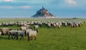 "Le Magnifique Mont-Saint-Michel : Un Trésor Médiéval au Cœur de la France" 