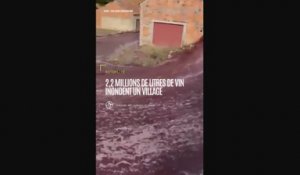 Portugal : 2,2 millions de litres de vin inondent un village