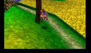 Banjo-Kazooie online multiplayer - n64