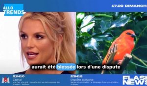 Britney Spears : Nouvelle romance après sa séparation avec Sam Asghari ?