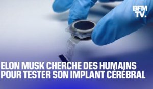 Elon Musk cherche maintenant des humains pour tester ses implants cérébraux