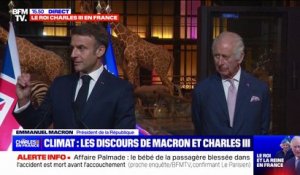 Emmanuel Macron: "On a besoin de plus d'argent public" pour lutter contre le changement climatique