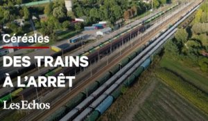 Pourquoi des trains remplis de céréales ukrainiennes attendent à la frontière polonaise