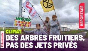 Des militants écologistes plantent des arbres à l'aéroport du Bourget
