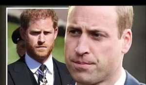 Le prince William "essaye d'accepter qu'il a perdu son frère qu'il a connu" comme l'ont confirmé les