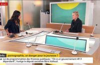 "On a eu envie de vomir !" : Élise Lucet se livre sur le numéro de Cash Investigation consacrée à la pornographie