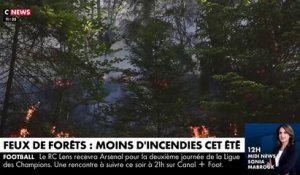 Feux de forêts: La France relativement épargnée par les incendies de l’été par rapport à l'an dernier malgré un nombre élevé de départs de feux - VIDEO
