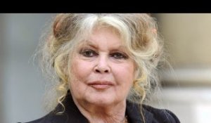 Brigitte Bardot : L’ancienne actrice condamnée à 20 000 euros d’amende pour...