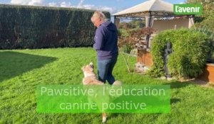 Pawsitive, l'éducation canine positive