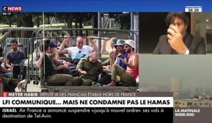 Attaque du Hamas - Le député français Meyer Habib furieux contre le leader de la France Insoumise ce matin sur CNews : "Jean-Luc Mélenchon est une crapule antisémite, je veux le dire ouvertement !"