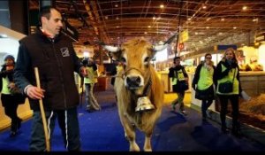 Salon de l'Agriculture 2021 annulé : par quoi sera-t-il remplacé ?