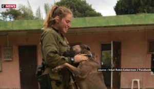 Attaques contre Israël : cette femme a sauvé son kibboutz des hommes armés du Hamas