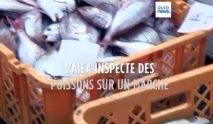 Japon : l'AIEA inspecte des poissons sur un marché de Fukushima
