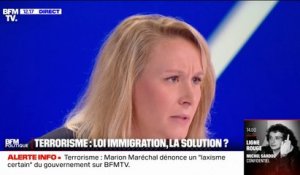 Marion Maréchal souhaite "une réforme constitutionnelle" sur le sujet de l'immigration