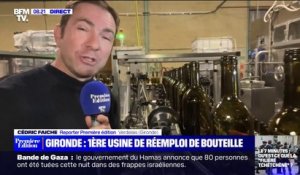 En Gironde, la première usine de réemploi de bouteilles en verre tourne à plein régime