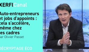 Auto-entrepreneurs et jobs d'appoints : cela s'accélère, même chez les cadres [Olivier Passet]