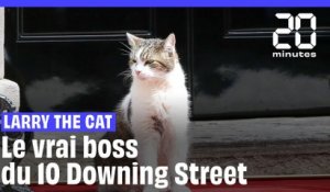 Qui est Larry the Cat, le chat du 10 Downing Street ?