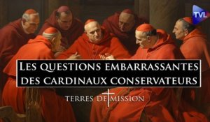 Terres de Mission n°334 : Les questions embarrassantes des cardinaux conservateurs