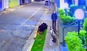 Un chien protège son maitre contre des voleurs de rue