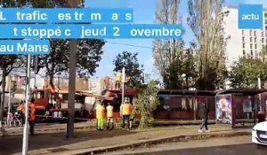 Tempête Ciaran : un arbre tombe sur le tramway au Mans