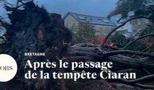 Tempête Ciaran : les dégâts en Bretagne après les puissantes rafales de vent