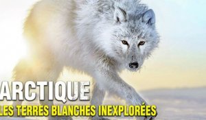Arctique : Les Terres Blanches Inexplorées | Documentaire Complet en Français