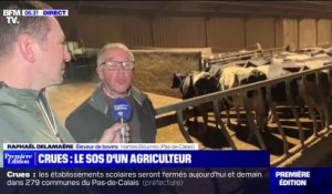 "C'est une perte considérable": un agriculteur appelle à l'aide après les crues dans le Pas-de-Calais