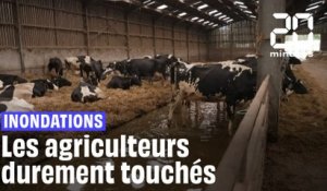 Inondations dans la Pas-de-Calais :  Les agriculteurs durement touchés