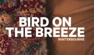 Winterbourne - Bird On The Breeze (Official Audio)