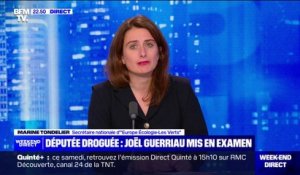 Députée droguée: pour Marine Tondelier (EELV), il serait "logique" que le sénateur Joël Guerriau démissionne