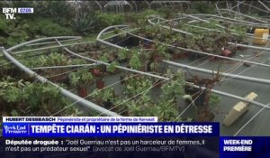 Tempête Ciarán: un chantier solidaire pour venir en aide à ce pépiniériste sinistré