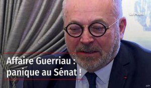 Affaire Guerriau : panique au Sénat !