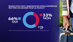 Sondage : 66% des Français estiment que l’immigration extra-européenne peut être un danger pour le pays