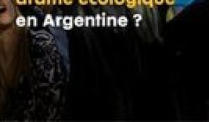 Javier Milei : l'étrange nouveau président Argentin ? 