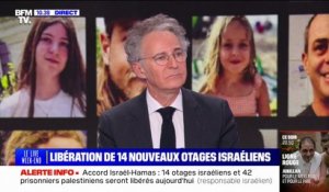 Les familles d'otages français "sont toutes dans l'incertitude, partagées entre la satisfaction et la crainte", affirme François Zimeray, ancien ambassadeur de France pour les droits de l'Homme