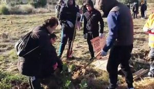 Istres : opération  « Plantons un arbre » aux Maurettes