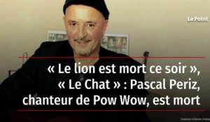 « Le lion est mort ce soir », « Le Chat » : Pascal Periz, chanteur de Pow Wow, est mort