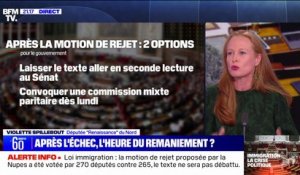 Rejet de la loi immigration: "Il faut digérer une défaite", pour Violette Spillebout (Renaissance)