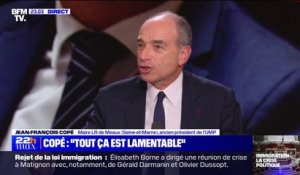 Rejet de la loi immigration: "Tout ça est juste lamentable", pour Jean-François Copé (LR)