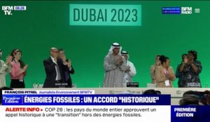 COP28: les pays du monde entier approuvent un appel historique à une "transition" hors des énergies fossiles