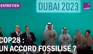 COP28 : vers l'impossibilité d'une sortie des énergies fossiles
