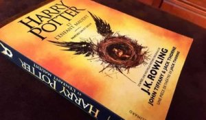 Une édition rare du premier livre de Harry Potter se vend à un prix exorbitant !