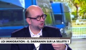 Ludovic Mendes : «Si le texte est rejeté, ça ne sera pas simplement un échec de Gérald Darmanin mais un échec collectif»