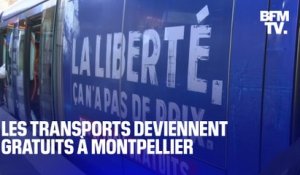 À Montpellier, les transports deviennent entièrement gratuits pour les habitants de la métropole