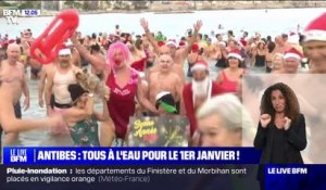 Nouvel An: la tradition du premier bain de l'année à Argelès-sur-Mer