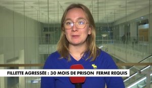 Fillette embrassée de force à Paris : 30 mois de prison ferme requis contre son agresseur